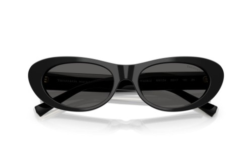 TIFFANY & CO. TF4236U - 8001S4 - 55 Sonnenbrillen Schwarz Cat Eye