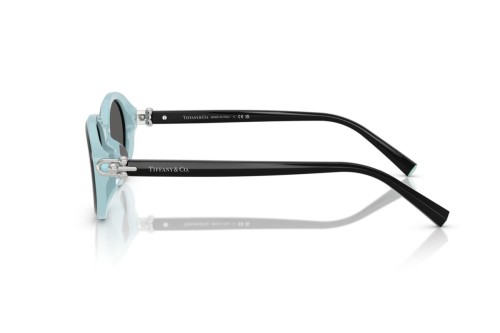 TIFFANY & CO. TF4242D - 8055S4 - 54 Sonnenbrillen Schwarz Oval