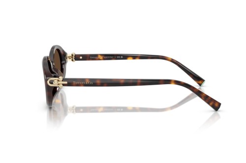 TIFFANY & CO. TF4242D - 80153G - 54 Sonnenbrillen Dunkle Havanna Oval