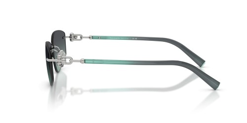 TIFFANY & CO. TF3114 - 60012G - 59 Sonnenbrillen Silber Eckig
