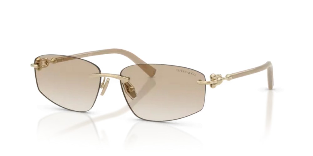 TIFFANY & CO. TF3114 - 602111 - 59 Sonnenbrillen