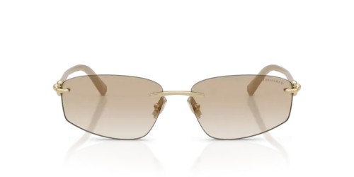 TIFFANY & CO. TF3114 - 602111 - 59 Sonnenbrillen