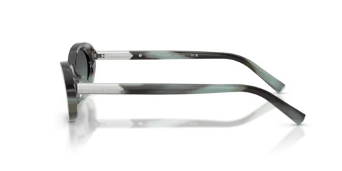 TIFFANY & CO. TF4250 - 84432G - 56 Sonnenbrillen Oval