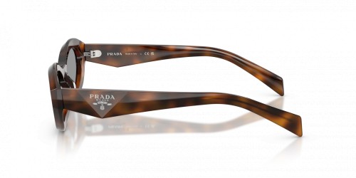 PRADA PR 26ZS - ​20D50Q - ​55 Sonnenbrillen Havanna Oval