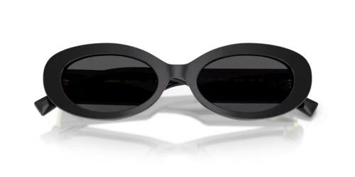DOLCE & GABBANA DG4537 - 501/87 - 53 Sonnenbrillen Schwarz Oval