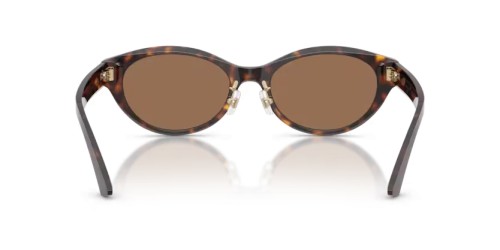 Jimmy Choo JC5064D - 500273 - 55 Sonnenbrillen Havanna Oval