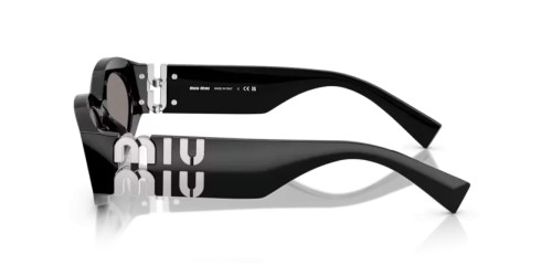 MIU MIU MU 11WS - 16K80Q - 54 Sonnenbrillen Schwarz Oval