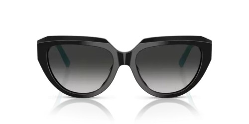 TIFFANY & CO. TF4238U - 84653C - 55 Sonnenbrillen Schwarz