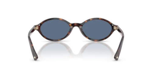 Jimmy Choo JC5068U - 500280 - 51 Sonnenbrillen Havanna Oval