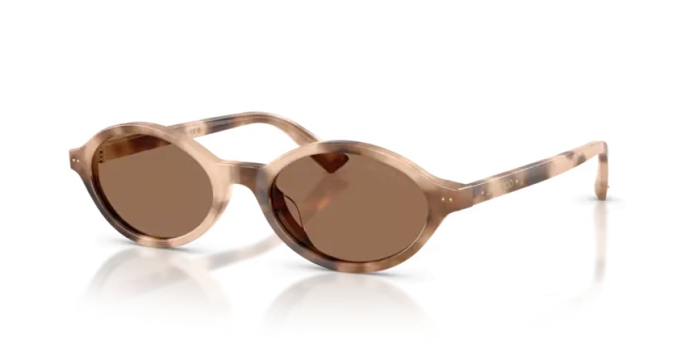 Jimmy Choo JC5068U - 509773 - 51 Sonnenbrillen Chai Havanna Oval