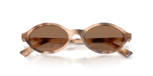 Jimmy Choo JC5068U - 509773 - 51 Sonnenbrillen Chai Havanna Oval