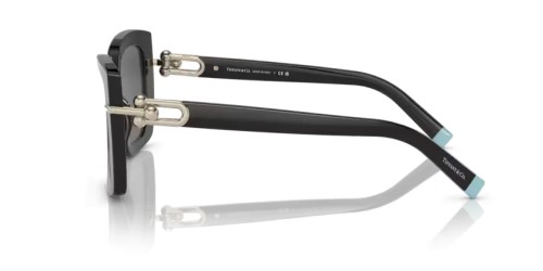 TIFFANY & CO. TF4199 - 8001S4 - 53 Sonnenbrillen Schwarz Schmetterling