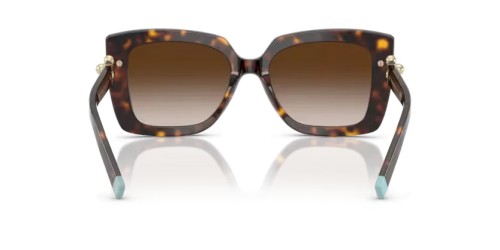 TIFFANY & CO. TF4199 - 80153B - 53 Sonnenbrillen Havanna Schmetterling