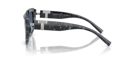TIFFANY & CO. TF4238U - 84349S - 55 Sonnenbrillen Gestreift Schwarz Kissen