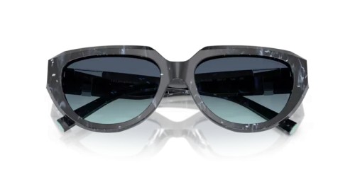 TIFFANY & CO. TF4238U - 84349S - 55 Sonnenbrillen Gestreift Schwarz Kissen
