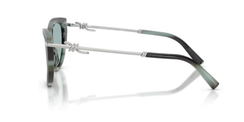 TIFFANY & CO. TF4253 - 84437C - 55 Sonnenbrillen Gestreiftes Schwarz Tiffany Cat Eye