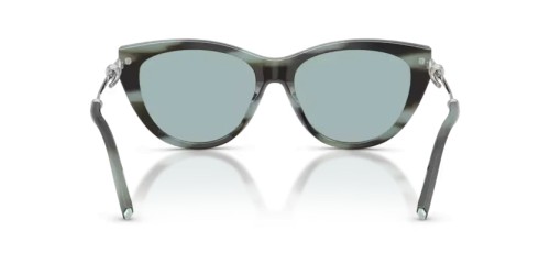 TIFFANY & CO. TF4253 - 84437C - 55 Sonnenbrillen Gestreiftes Schwarz Tiffany Cat Eye