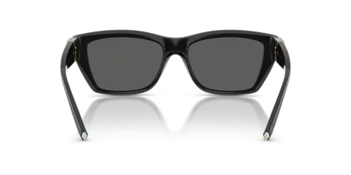 TIFFANY & CO. TF4255U - 8001S4 - 56 Sonnenbrillen Schwarz Rechteck