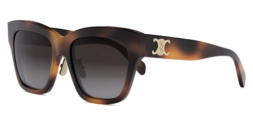 Celine CL40253F - 53K - 55 Sonnenbrillen Eckig