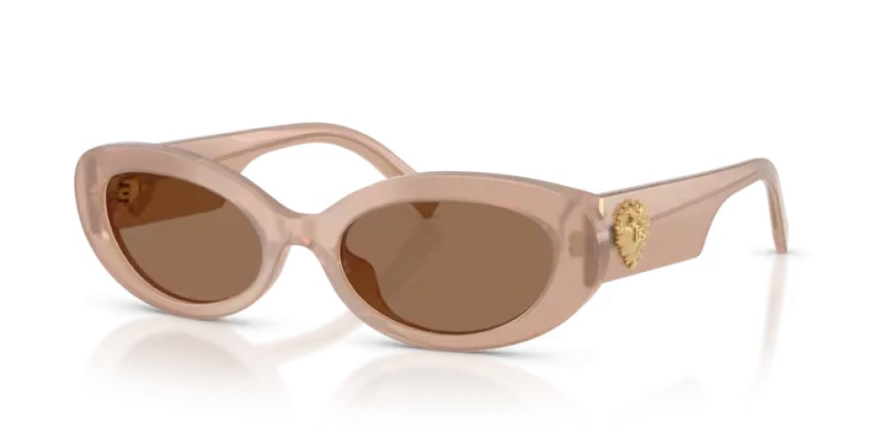 DOLCE & GABBANA DG4537 - 304273 - 53 Sonnenbrillen Oval