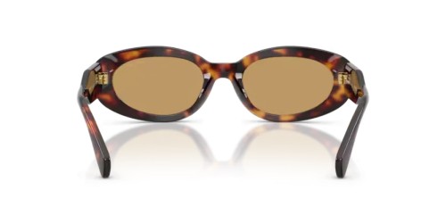 MIU MIU MU C01S - 27L10Y - 53 Sonnenbrillen Havanna Oval