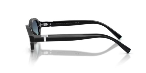 TIFFANY & CO. TF4270U - 80019S - 52 Sonnenbrillen Schwarz Oval