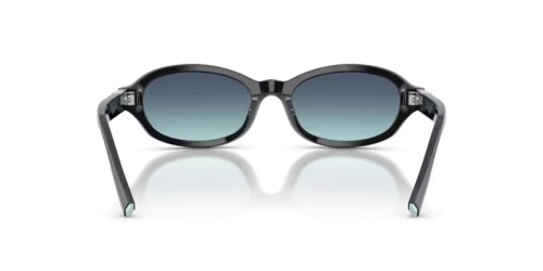 TIFFANY & CO. TF4270U - 80019S - 52 Sonnenbrillen Schwarz Oval