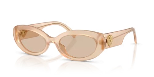 DOLCE & GABBANA - Sonnenbrillen - DG4537 - 308993 - 53