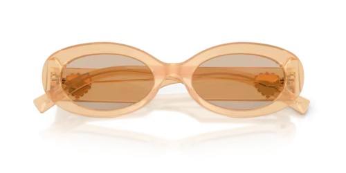 DOLCE & GABBANA DG4537 - 308993 - 53 Sonnenbrillen Oval
