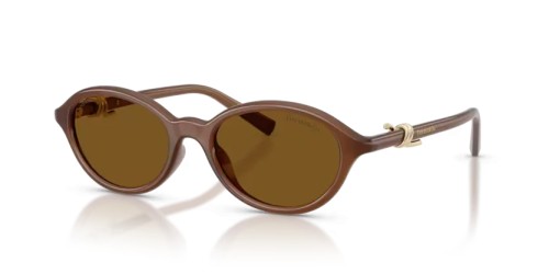TIFFANY & CO. TF4266U - 847183 - 51 - MIT POLARISIERTEN GLÄSERN Sonnenbrillen Transparent Honig Oval