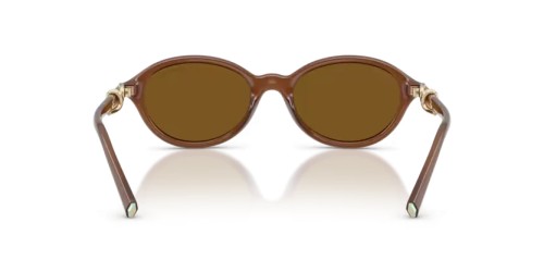 TIFFANY & CO. TF4266U - 847183 - 51 - MIT POLARISIERTEN GLÄSERN Sonnenbrillen Transparent Honig Oval