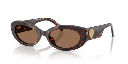 DOLCE & GABBANA DG4537 - 502/73 - 53 Sonnenbrillen Havanna Oval