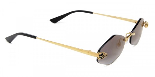 Cartier CT0433S - 001 Sonnenbrillen Spezial
